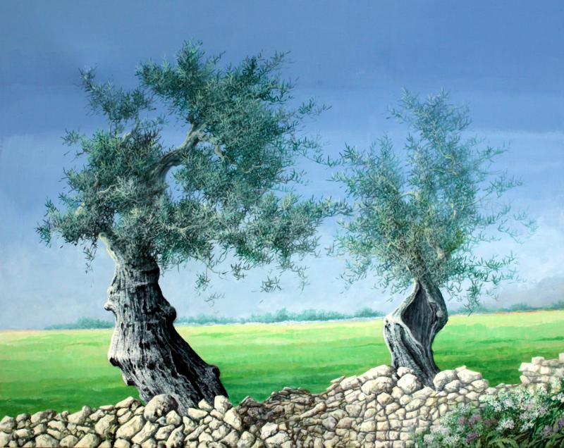 Radici Terra Anima