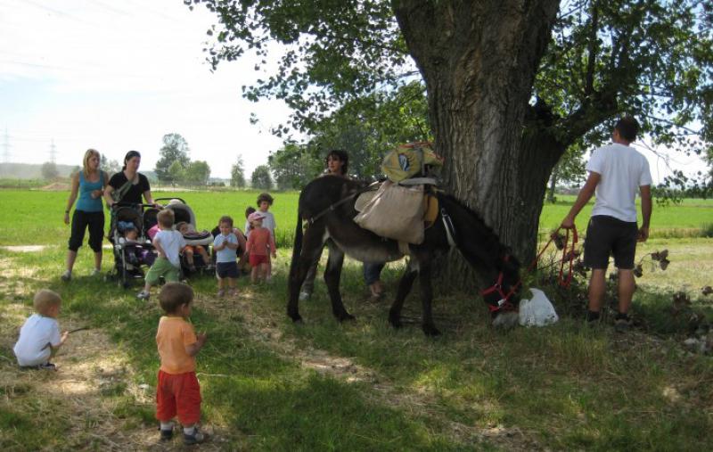 Agricoltura sociale