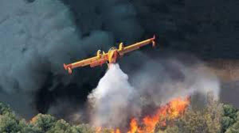 Incendi boschivi