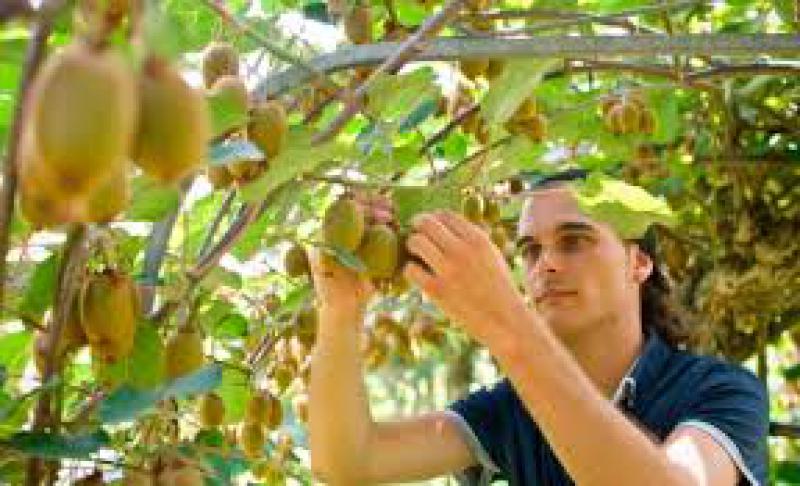 Agricoltura Sociale