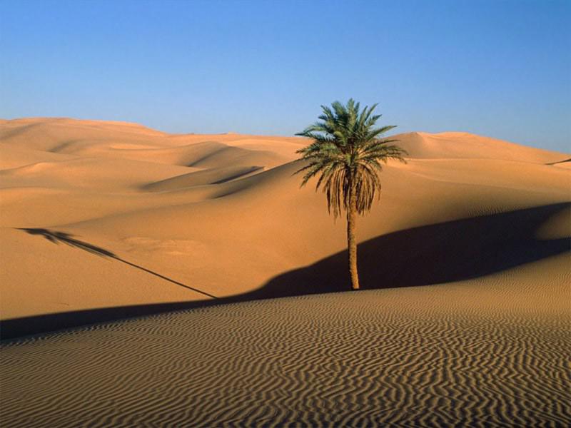 Desertificazione