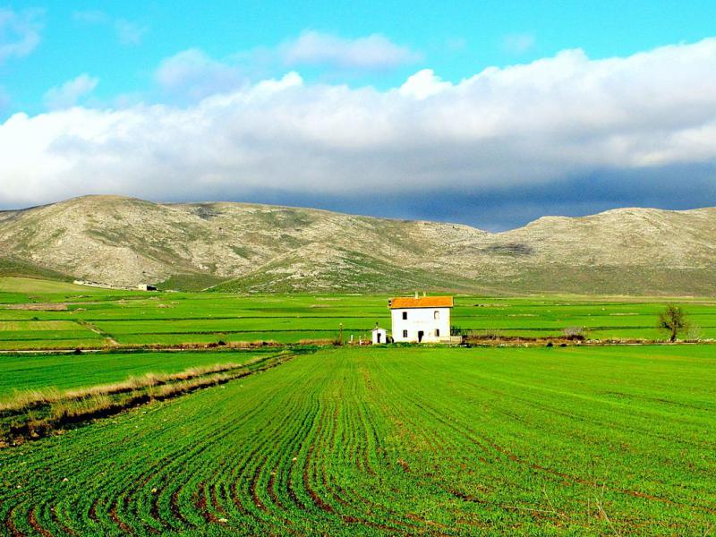 Ecologia integrale