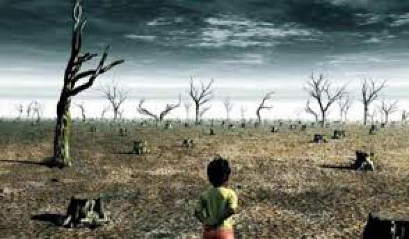 Cambiamenti climatici