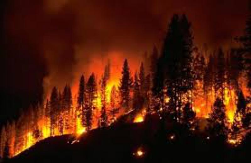 Incendi boschivi
