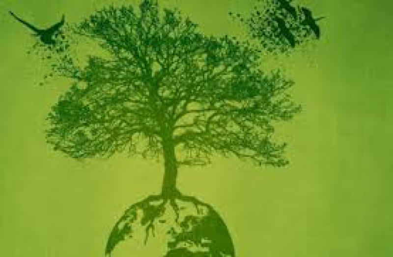 Efficienza energetica