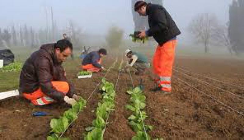 Agricoltura Sociale