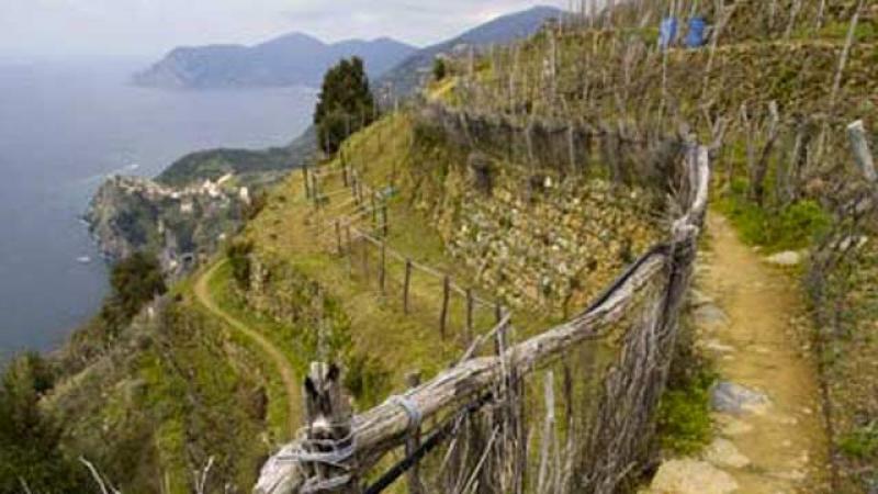 Trekking nel territorio Spezzino