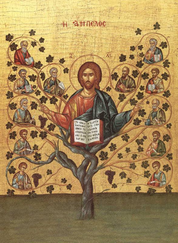 Alberologia