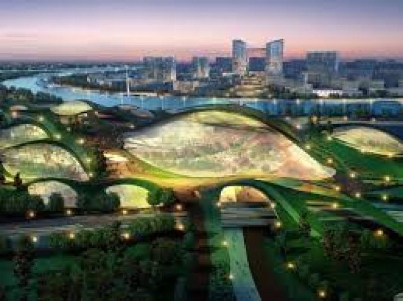 Città e verde urbano