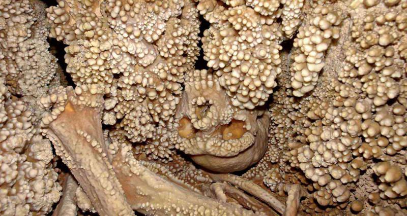 Un museo per l'uomo di Altamura