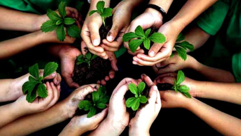 Laudato si'