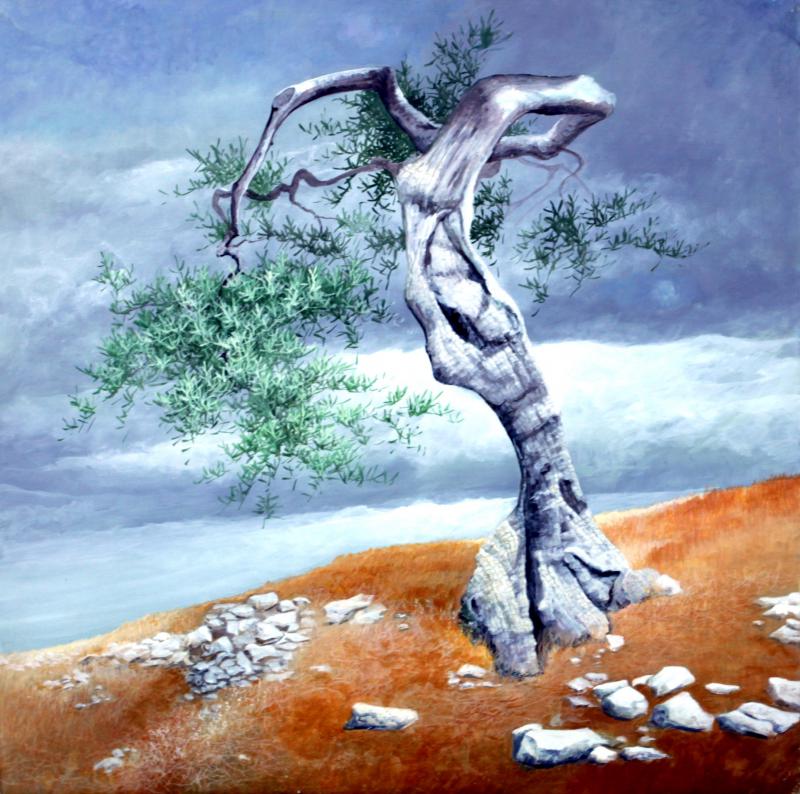 Radici Terra Anima