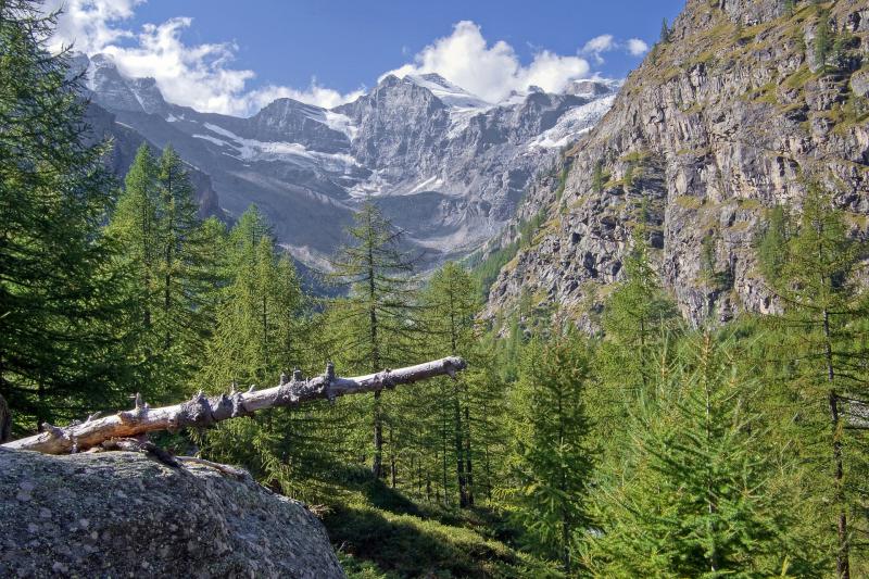 Il Parco del Gran Paradiso - 2