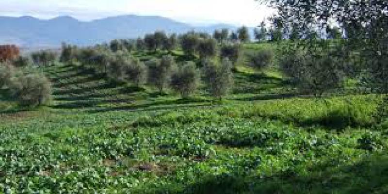 Una custodia responsabile  
per uno sviluppo sostenibile