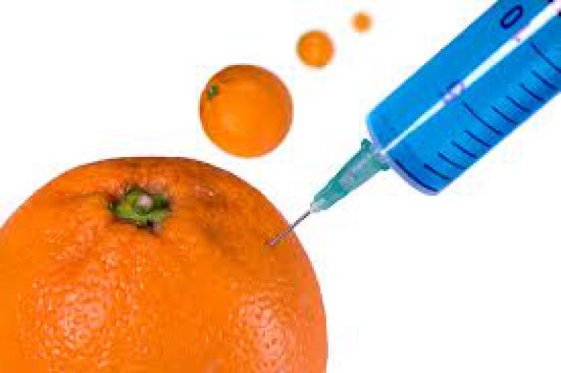 Agroalimentare criminale