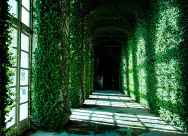 Un castello da sogno