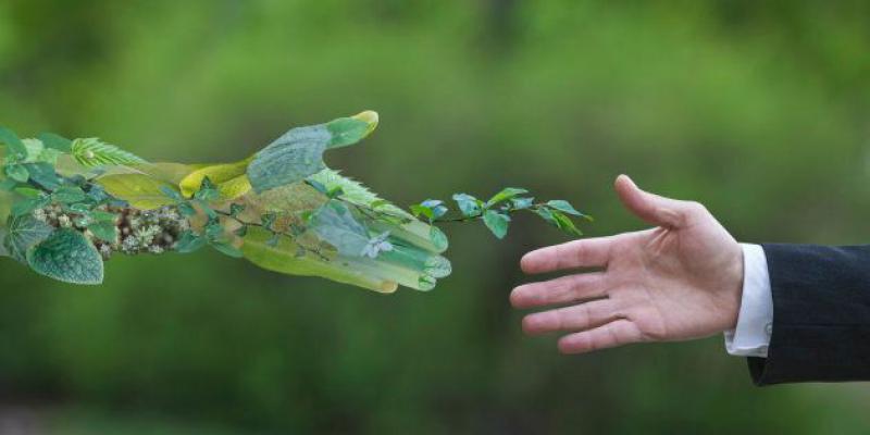 Bioeconomia nell'arco alpino