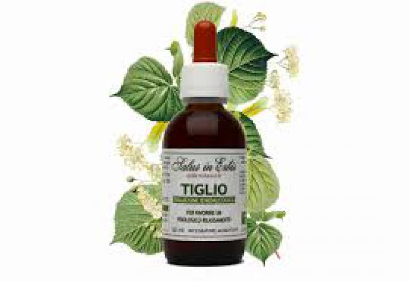 Tiglio