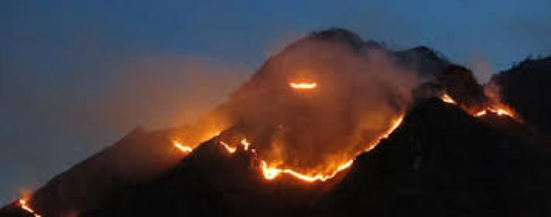 Incendi boschivi