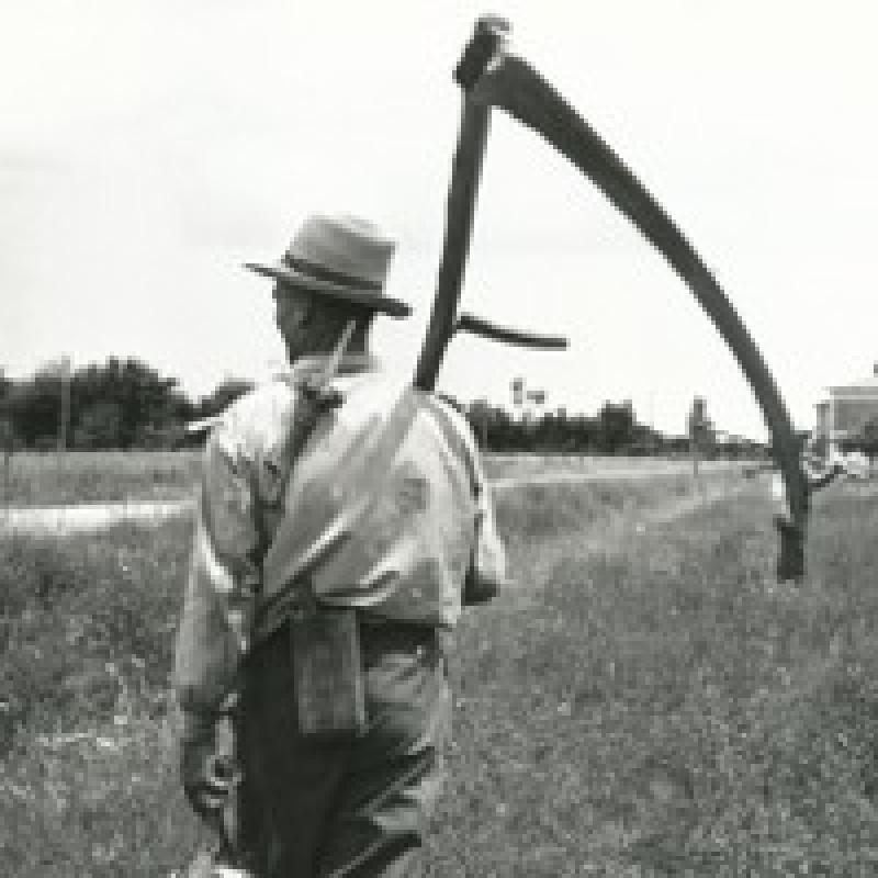 Per un'Agricoltura Umanistica