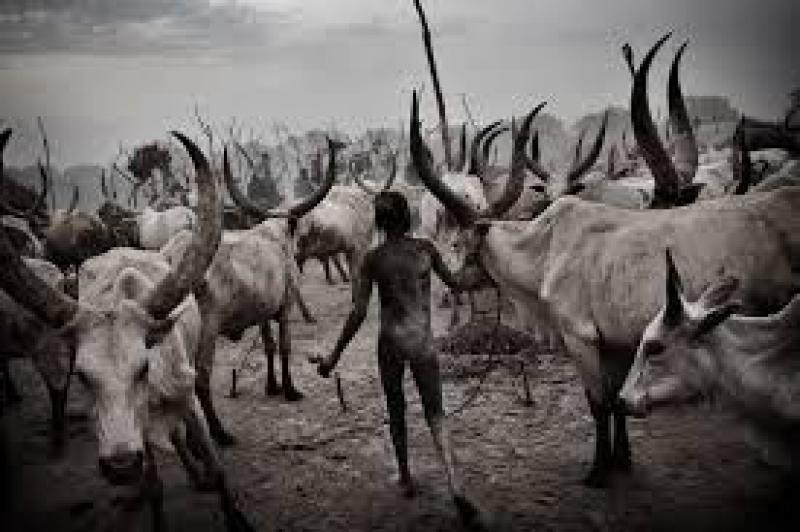 Prima Biennale   
della Fotografia Italiana