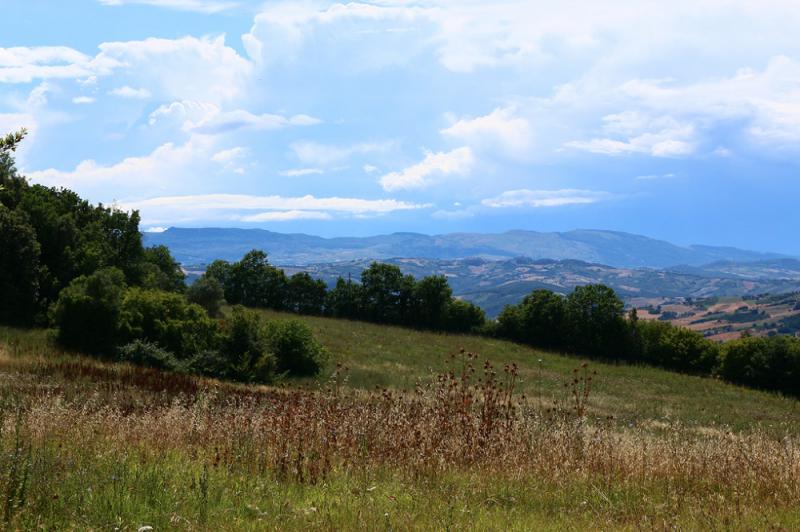 Montagano