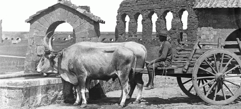 Mappe dell'Agro Romano