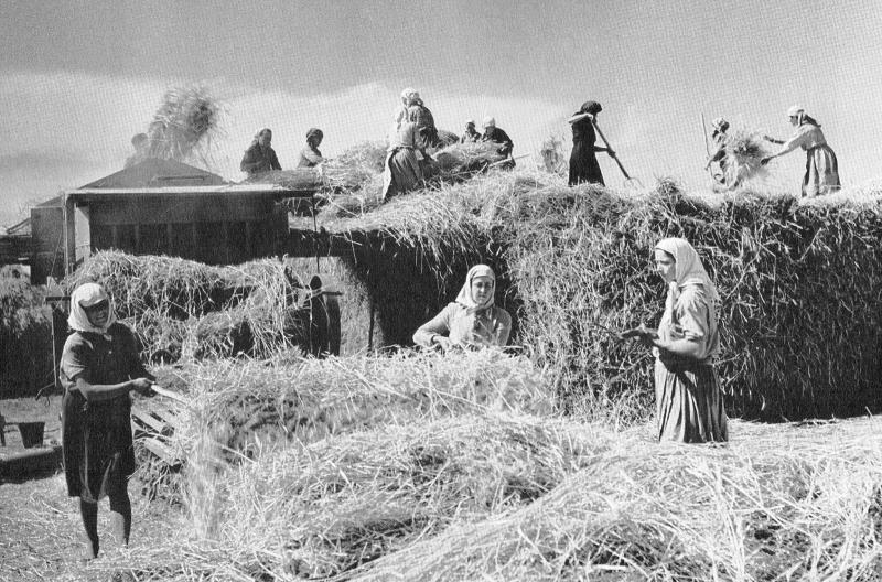 Holodomor - la memoria negata