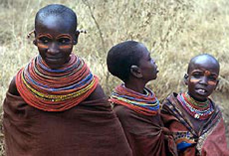 Amata Africa