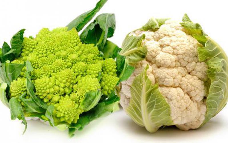 Cibo nocivo