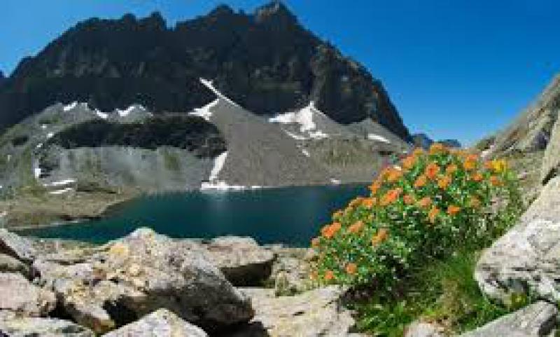 5 giugno - Giornata Mondiale dell'Ambiente