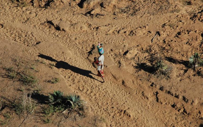 Desertificazione