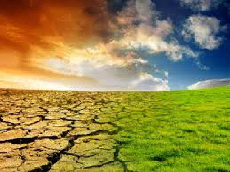Cambiamenti climatici