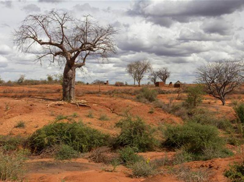 Desertificazione