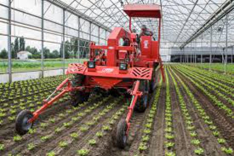 Per un'Agricoltura Umanistica