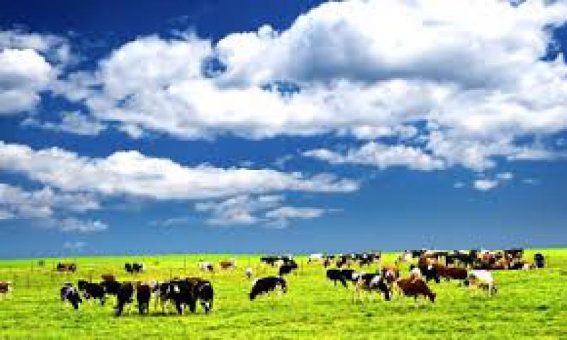 CO2: modello Europa?