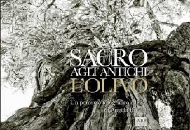Sacro agli antichi l'olivo