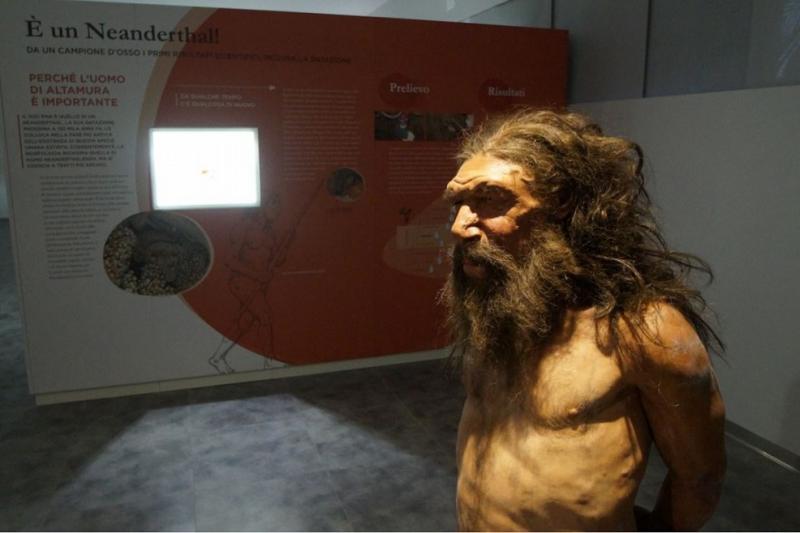 Un museo per l'uomo di Altamura