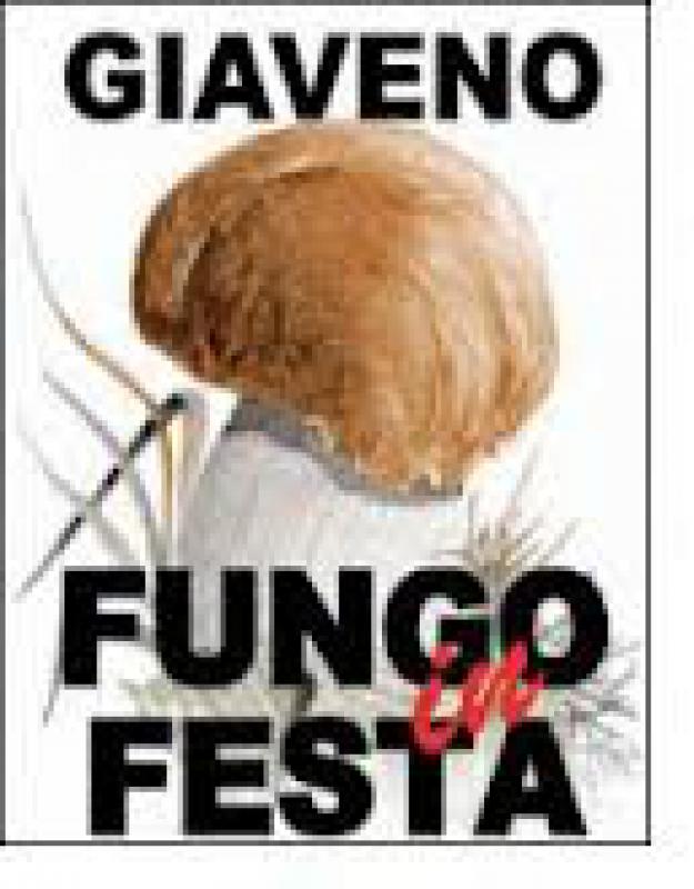 Museo del fungo