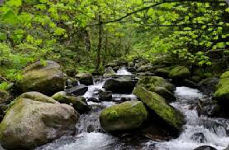 Trekking nel territorio Spezzino