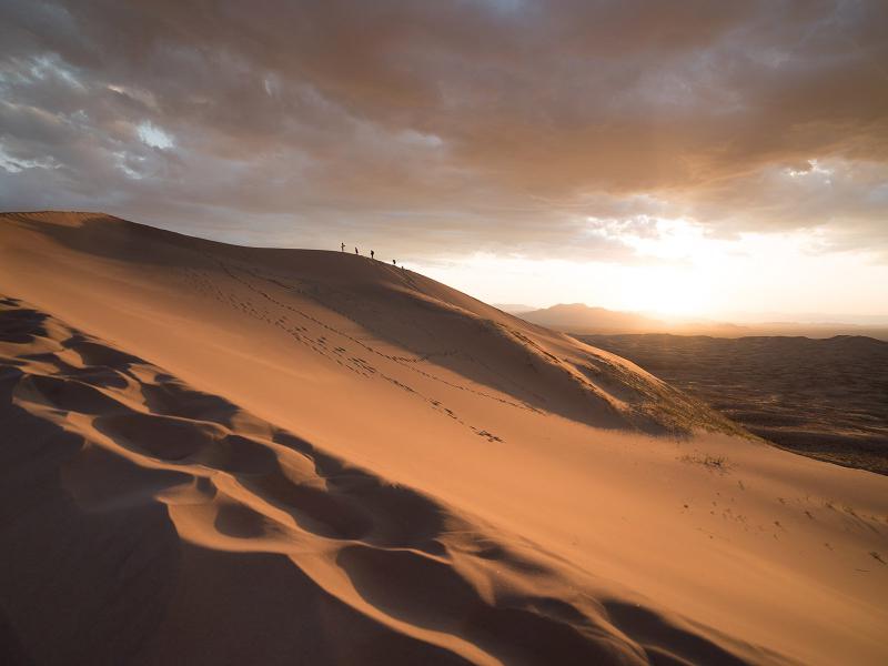 Desertificazione