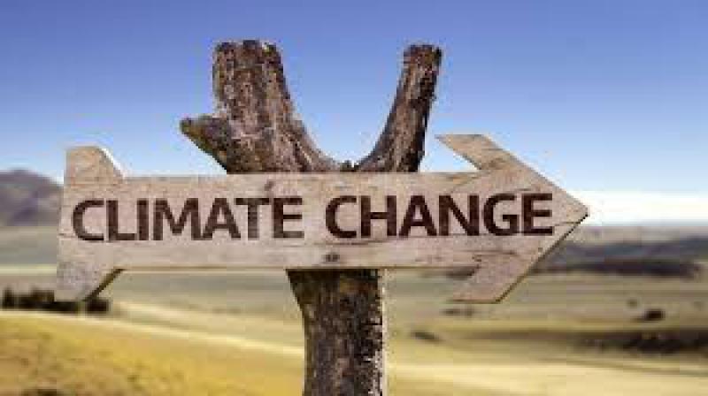 Se il clima cambia