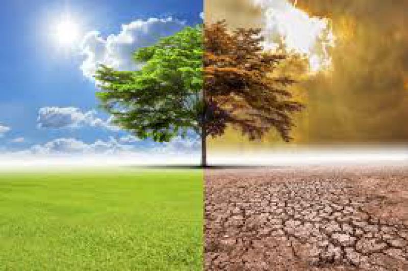 Cambiamenti climatici