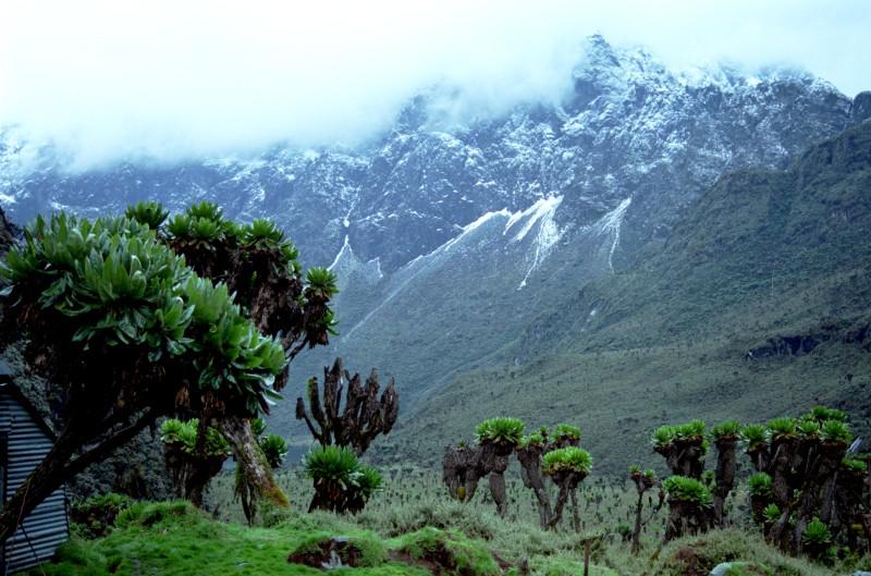 Sul favoloso Rwenzori