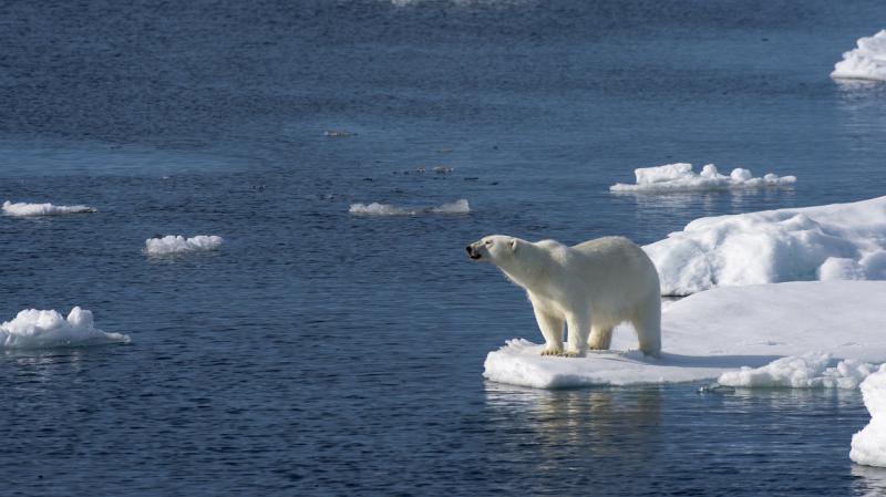 Cambiamenti climatici