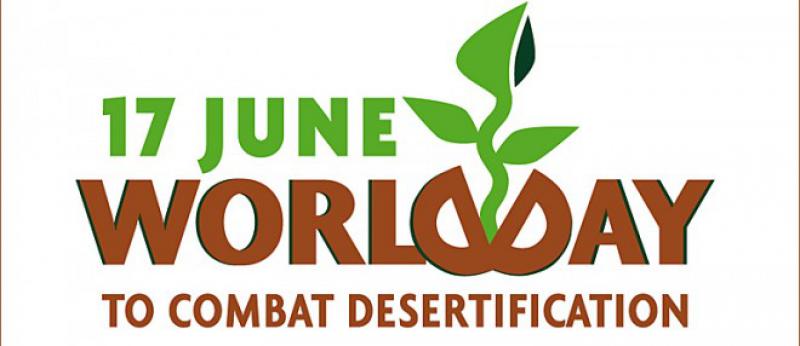 Desertificazione