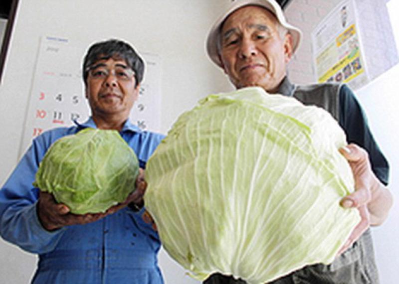 Fukushima