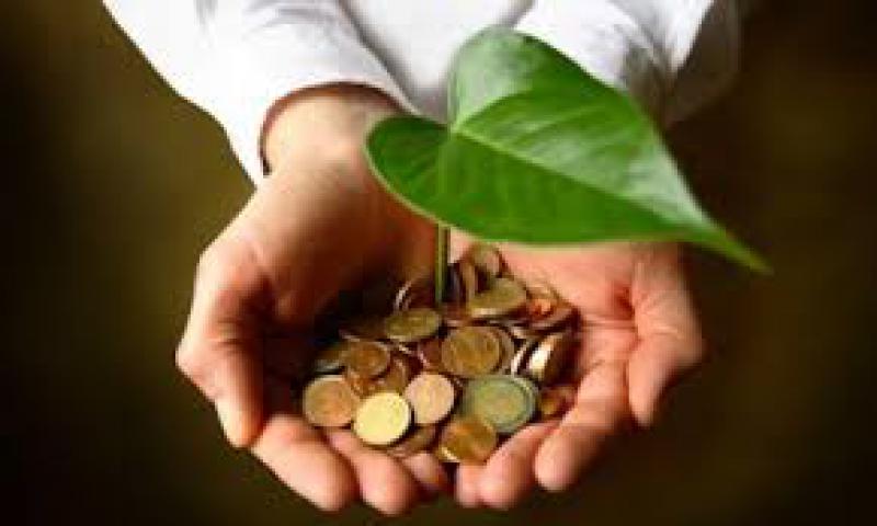 Bioeconomia nell'arco alpino