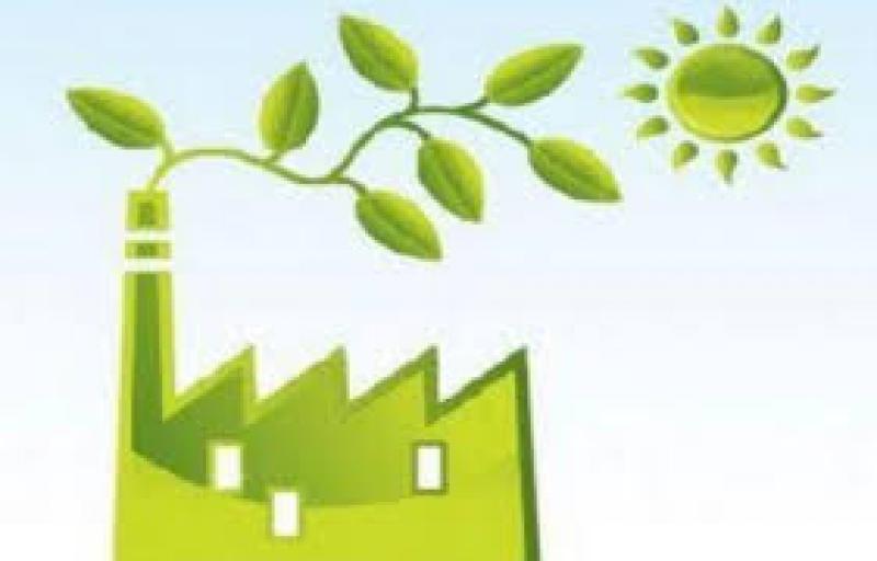 Bioeconomia nell'arco alpino