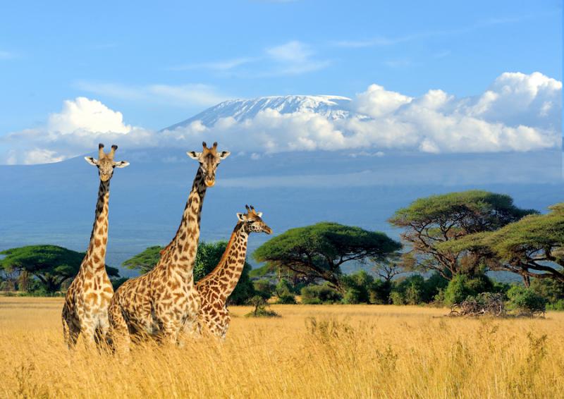 Nel cuore del Kenya